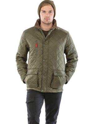 R196X - Veste Cheltenham Gold