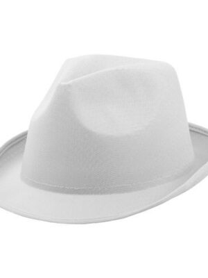 AP791198 - chapeau Party