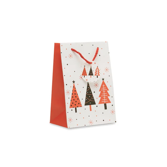 CX1561 - Sac cadeau petit format
