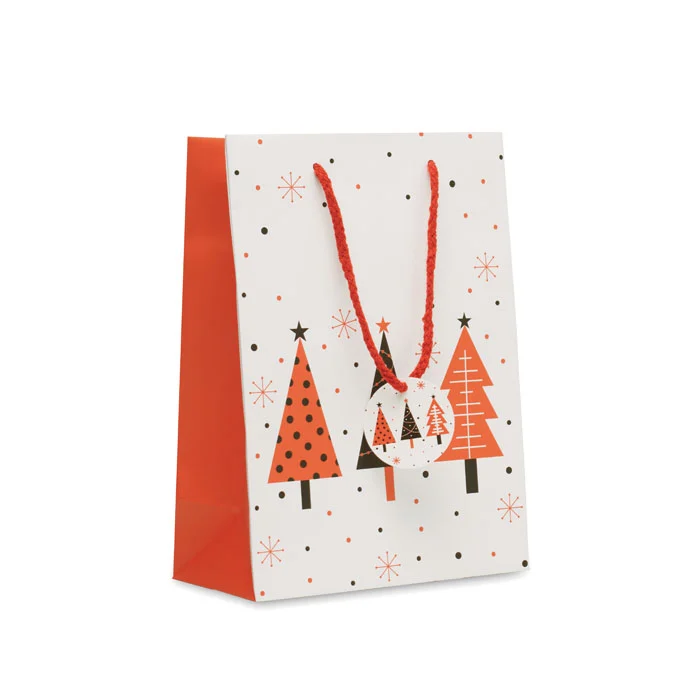 CX1562 - Sac cadeau format moyen
