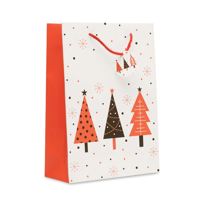 CX1563 - Sac cadeau grand format