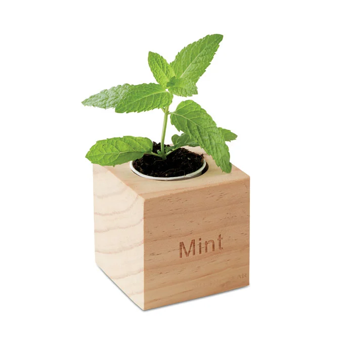 MO9337 - Pot en bois avec graine Menthe – Image 3