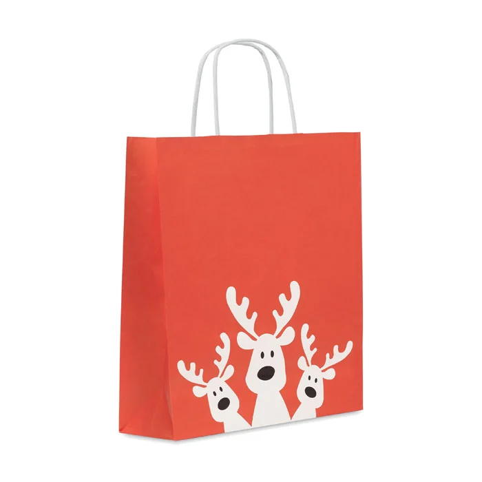 CX1565 - Sac cadeau format moyen