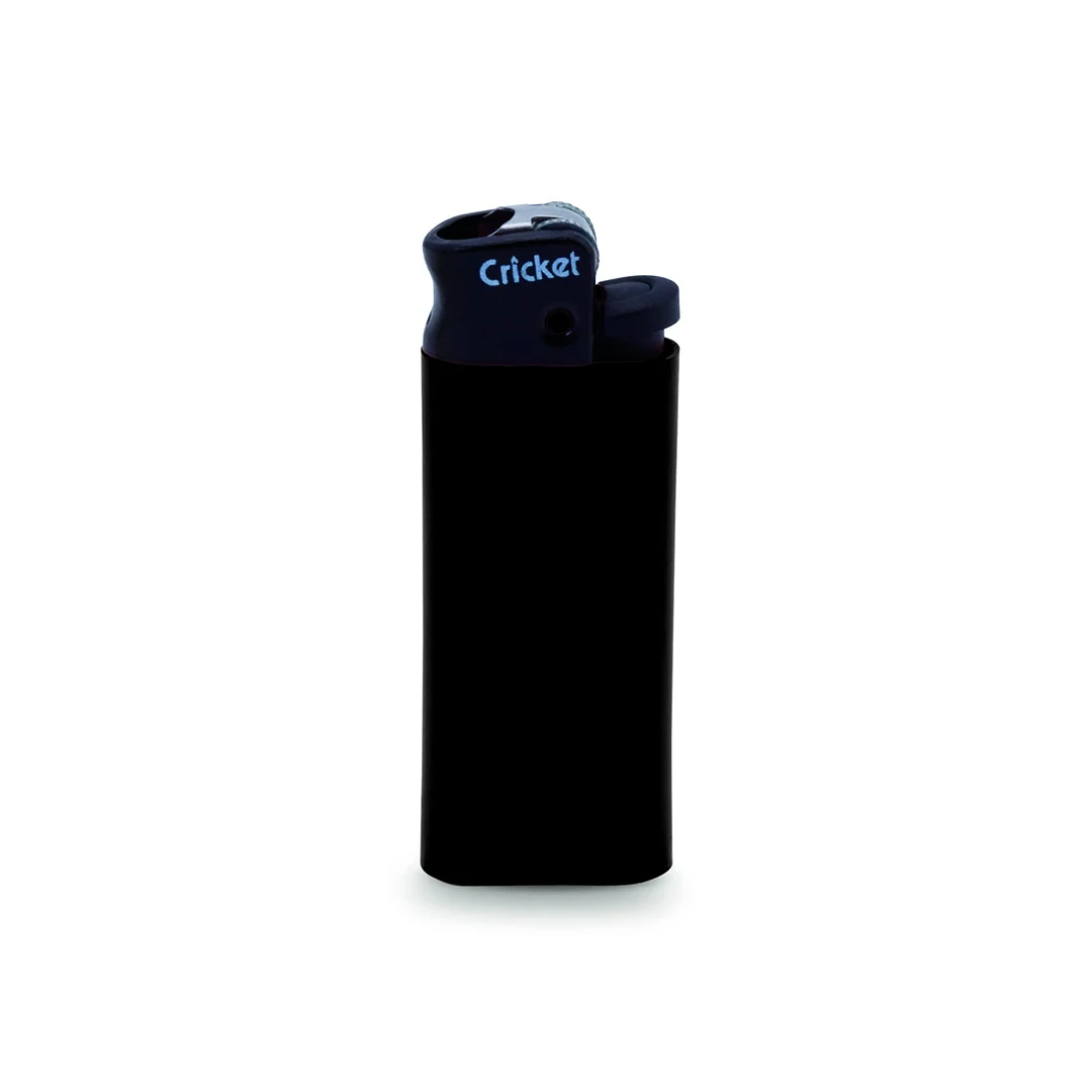 2483 - Briquet Minicricket
