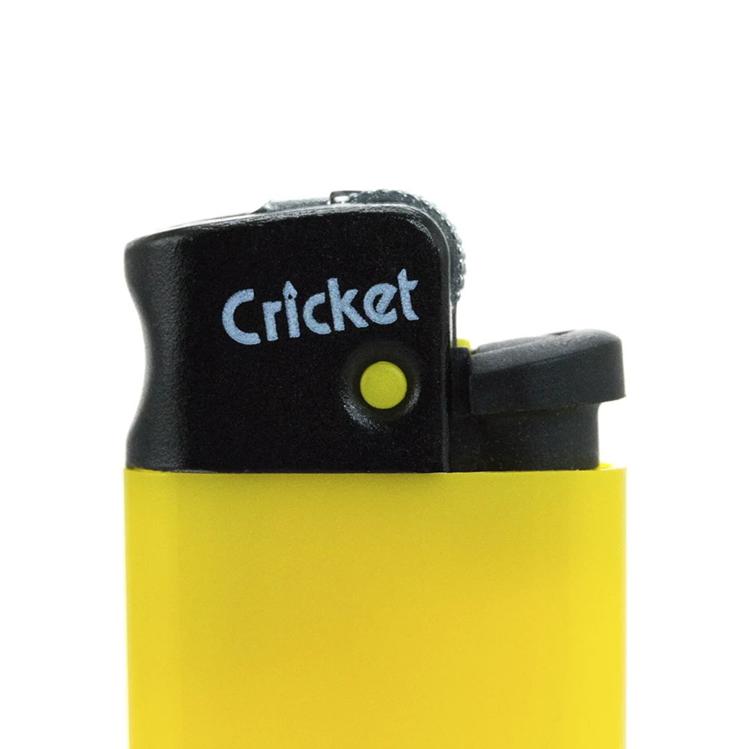 2483 - Briquet Minicricket