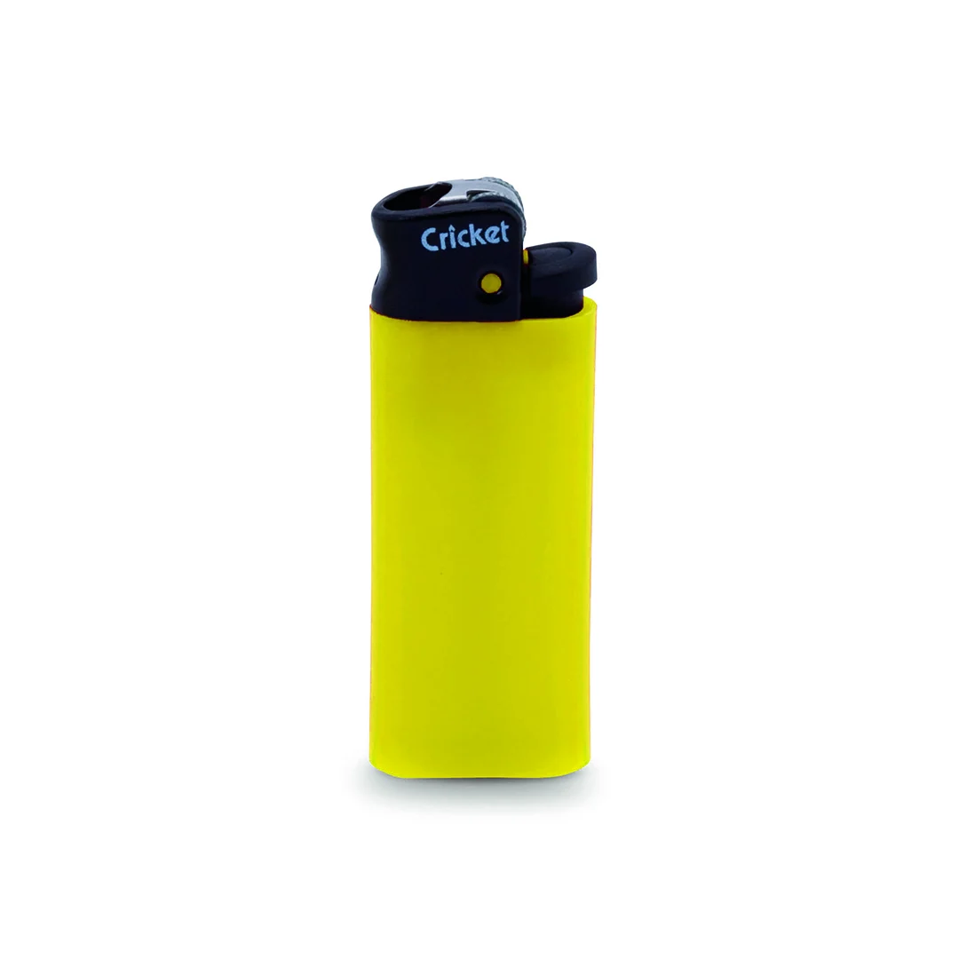 2483 - Briquet Minicricket